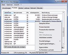 svhost 12-2011.jpg